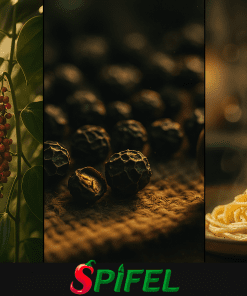 فلفل سیاه